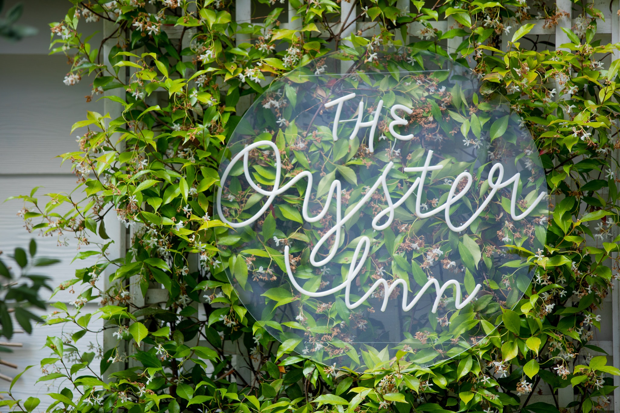 https://crystalpayroll.com/wp-content/uploads/2023/02/oyster-inn-sign.jpg